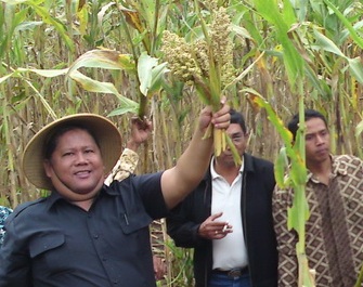 Asuransi Pertanian, Kementan Uji Coba di 3 Provinsi dengan Jasindo